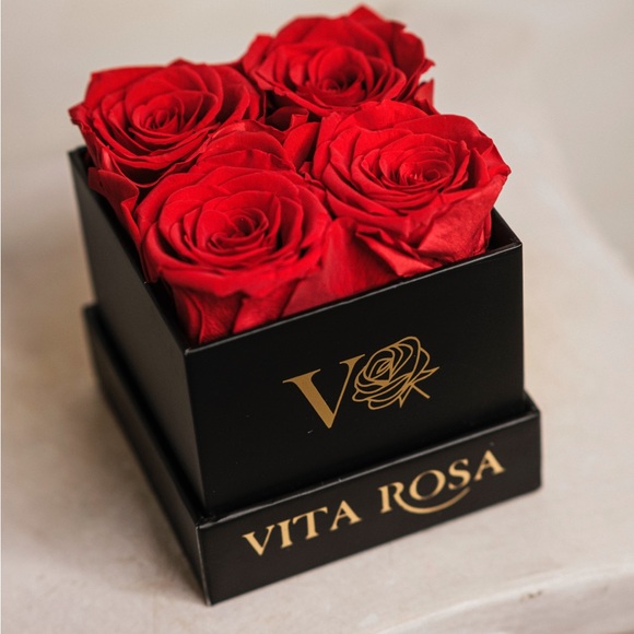 Preserved Roses